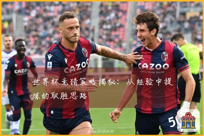 世界杯竞猜策略揭秘：从经验中提炼的取胜思路