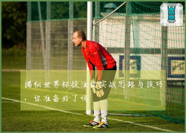 揭秘世界杯投注的实战思路与技巧，你准备好了吗
