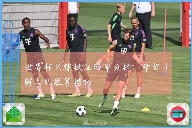 世界杯买球投注赔率分析：带你了解各队胜算揭秘