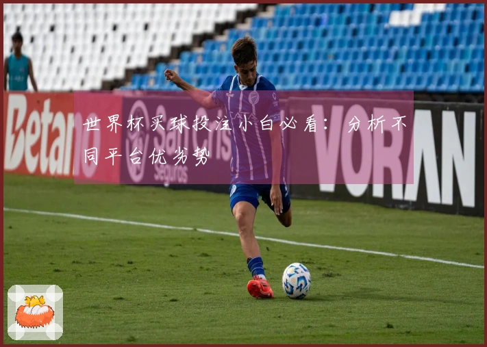 世界杯买球投注小白必看：分析不同平台优劣势