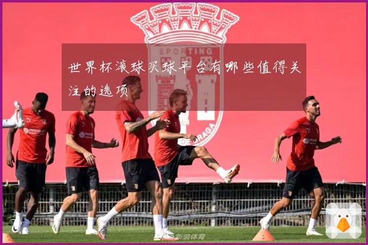 世界杯滚球买球平台有哪些值得关注的选项
