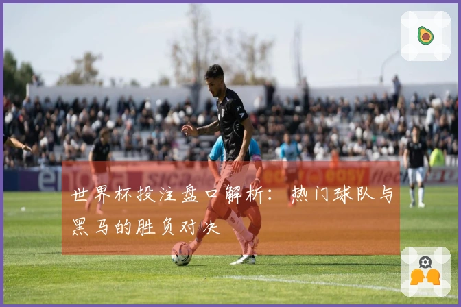 世界杯投注盘口解析：热门球队与黑马的胜负对决