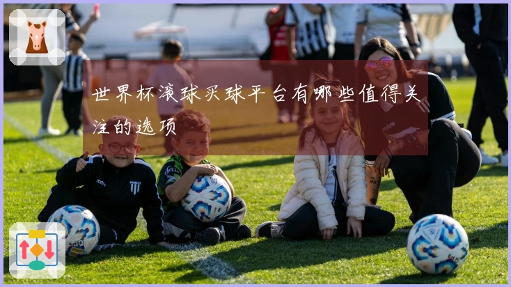 世界杯滚球买球平台有哪些值得关注的选项