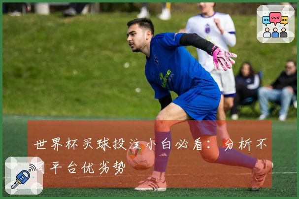 世界杯买球投注小白必看：分析不同平台优劣势