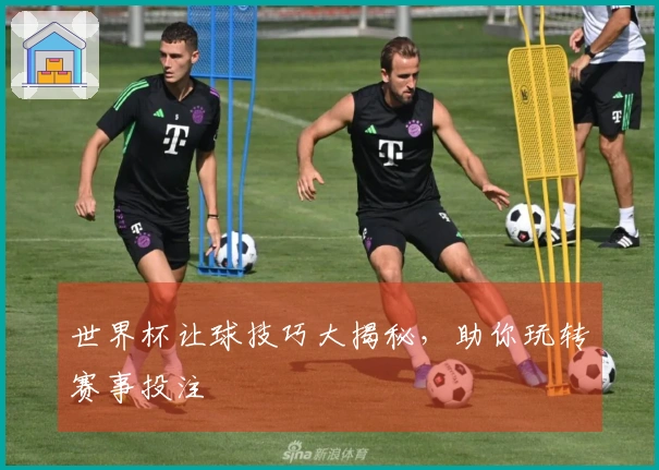世界杯让球技巧大揭秘，助你玩转赛事投注